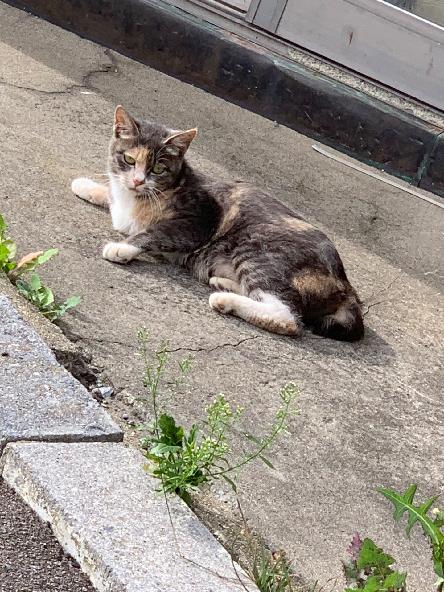 つぼみさんのプロフィール画像