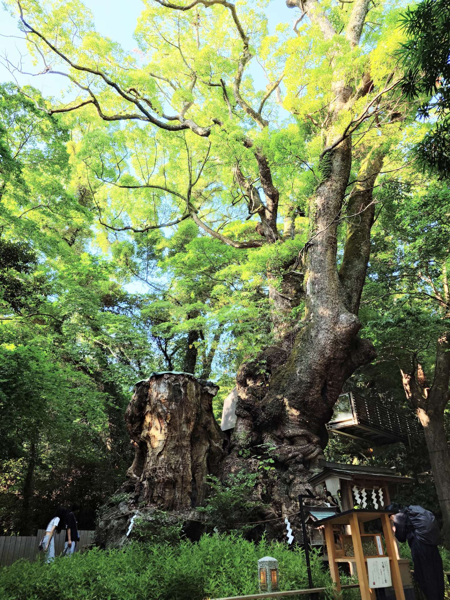 lalaさんのプロフィール画像