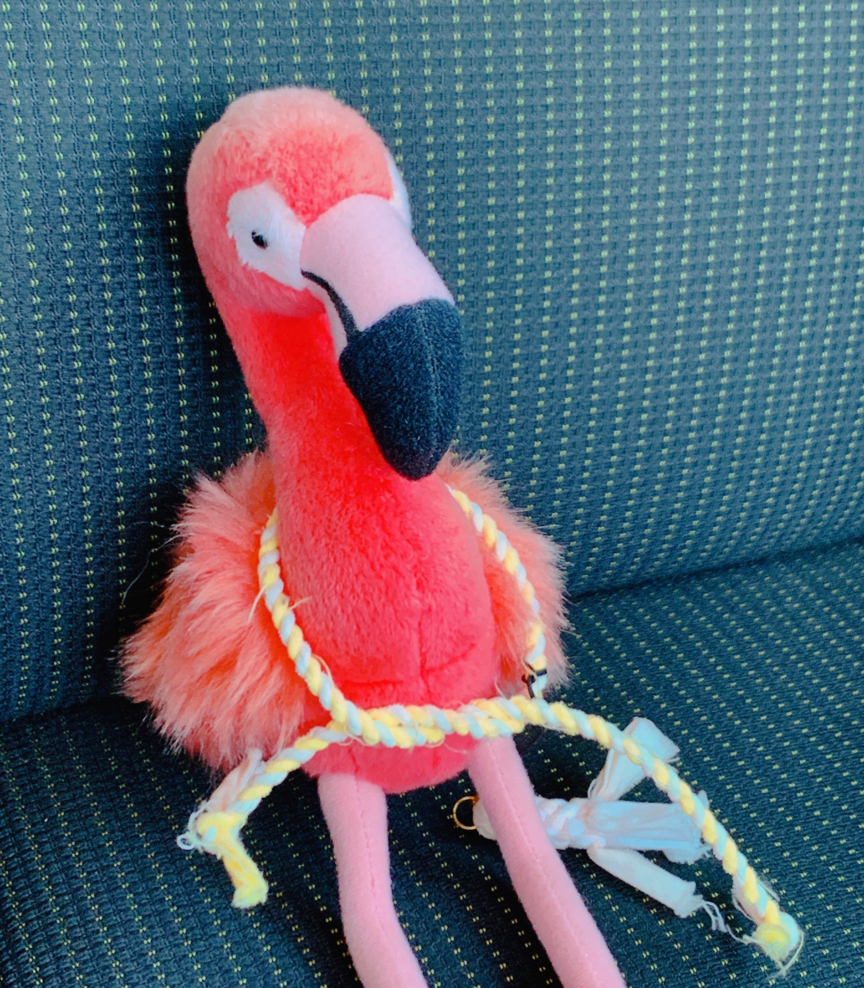 ジム子さんのプロフィール画像