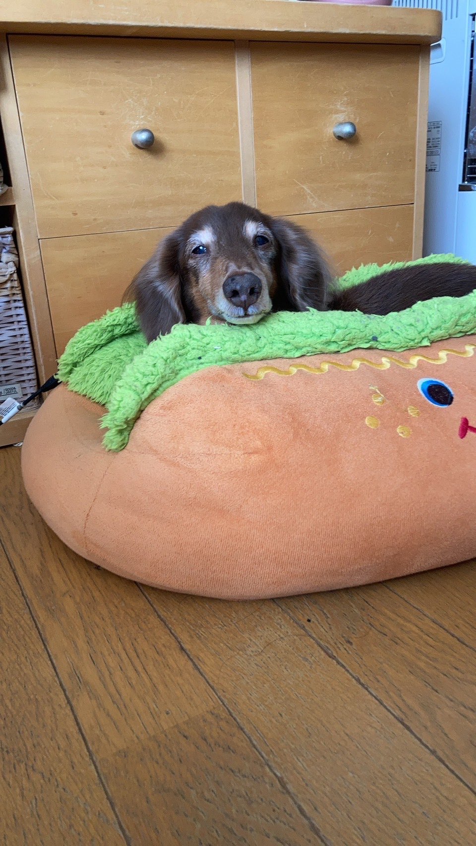 tuttunjpさんのプロフィール画像