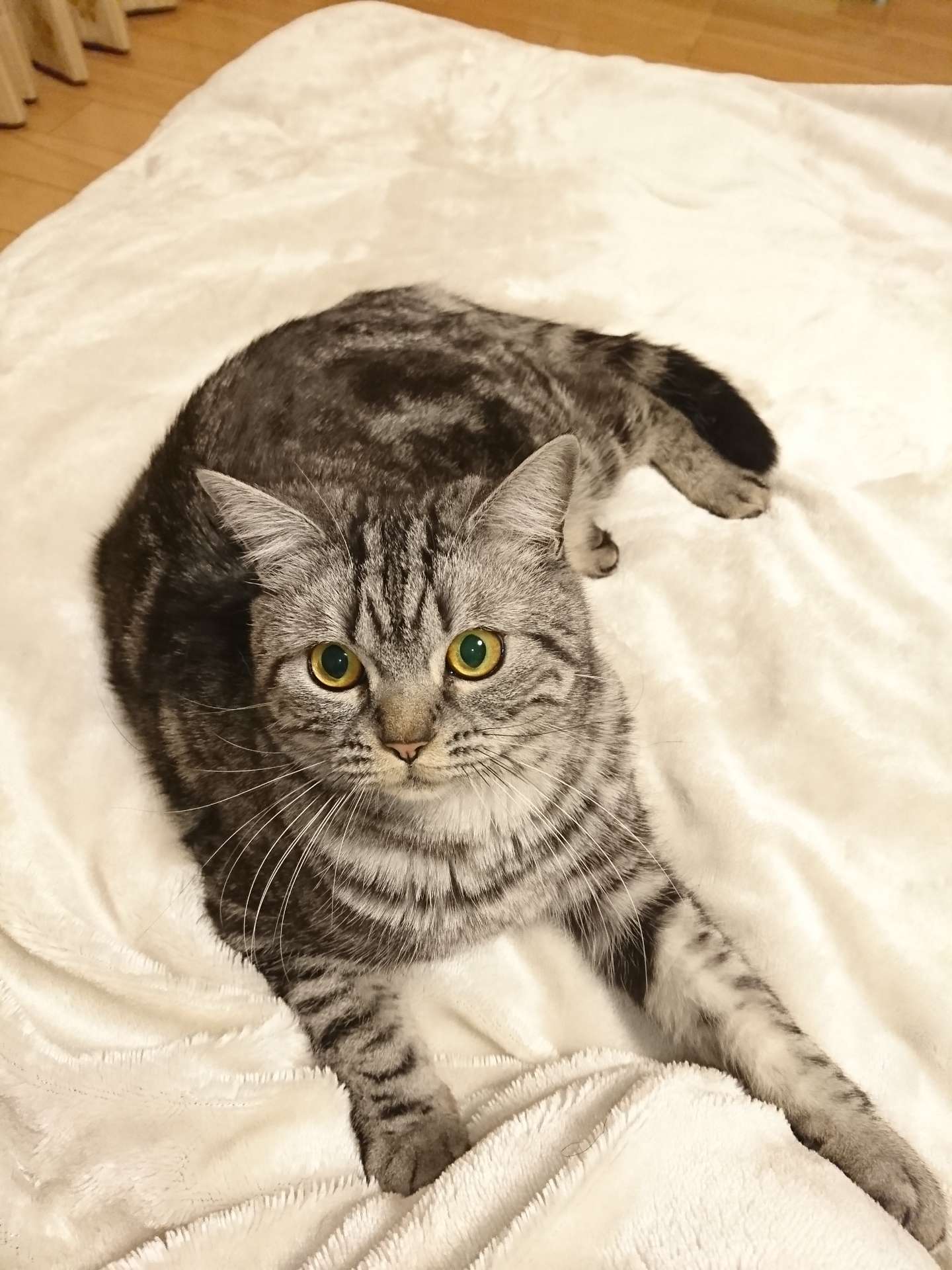 るんさんのプロフィール画像