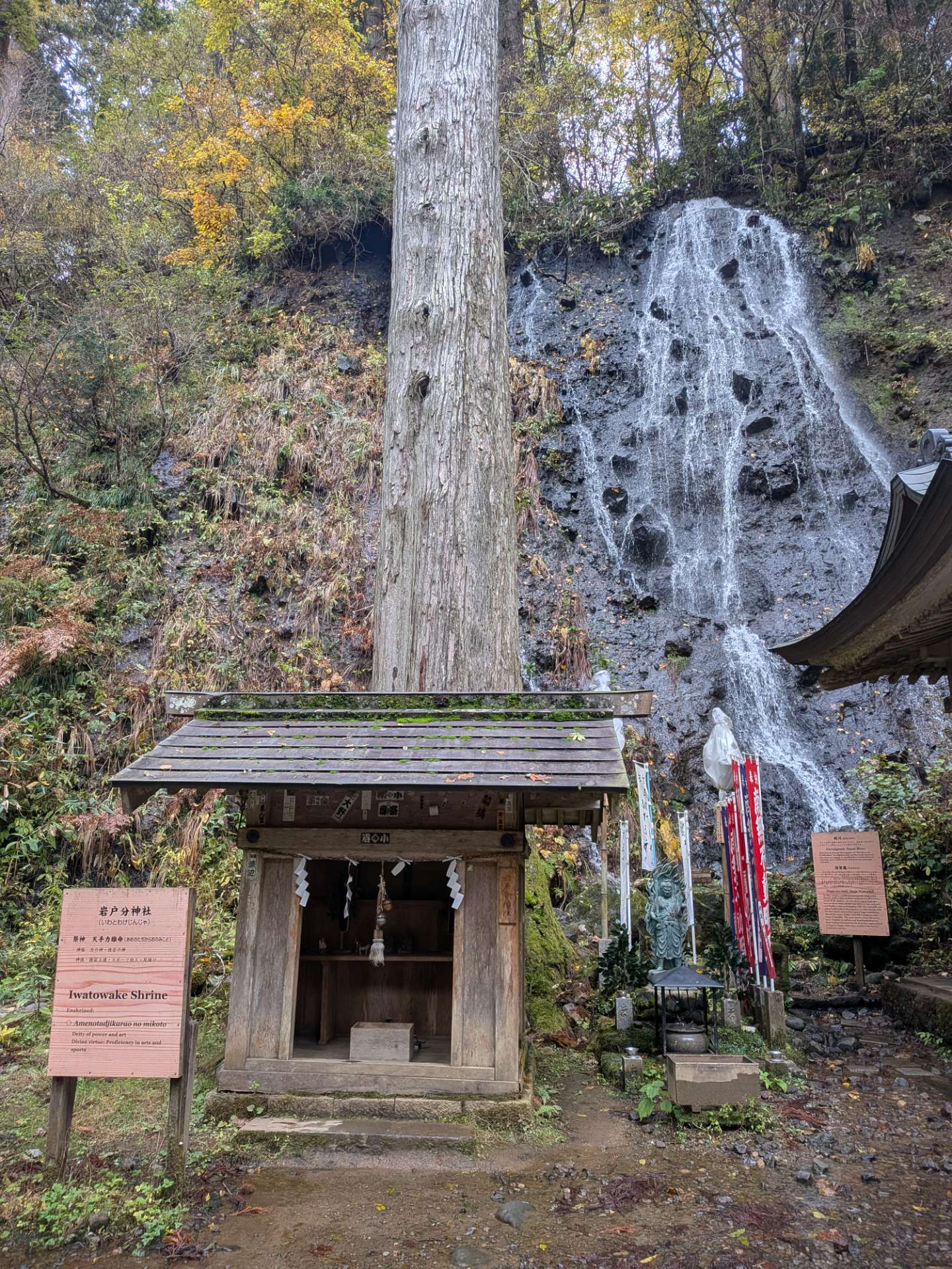 sanaさんのプロフィール画像