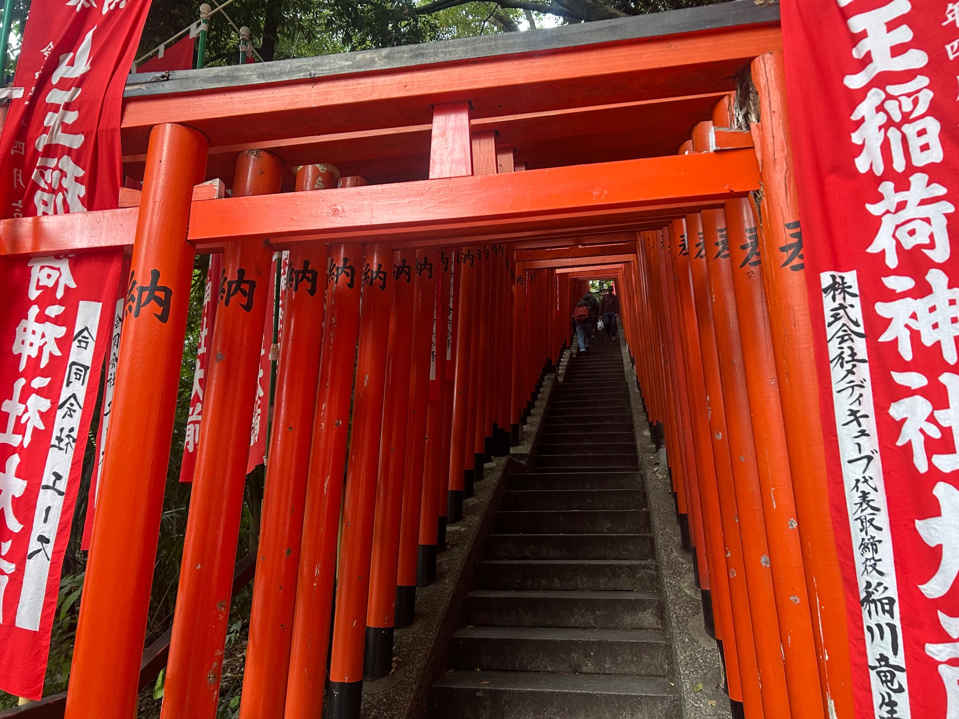 ゆきのすけさんのプロフィール画像