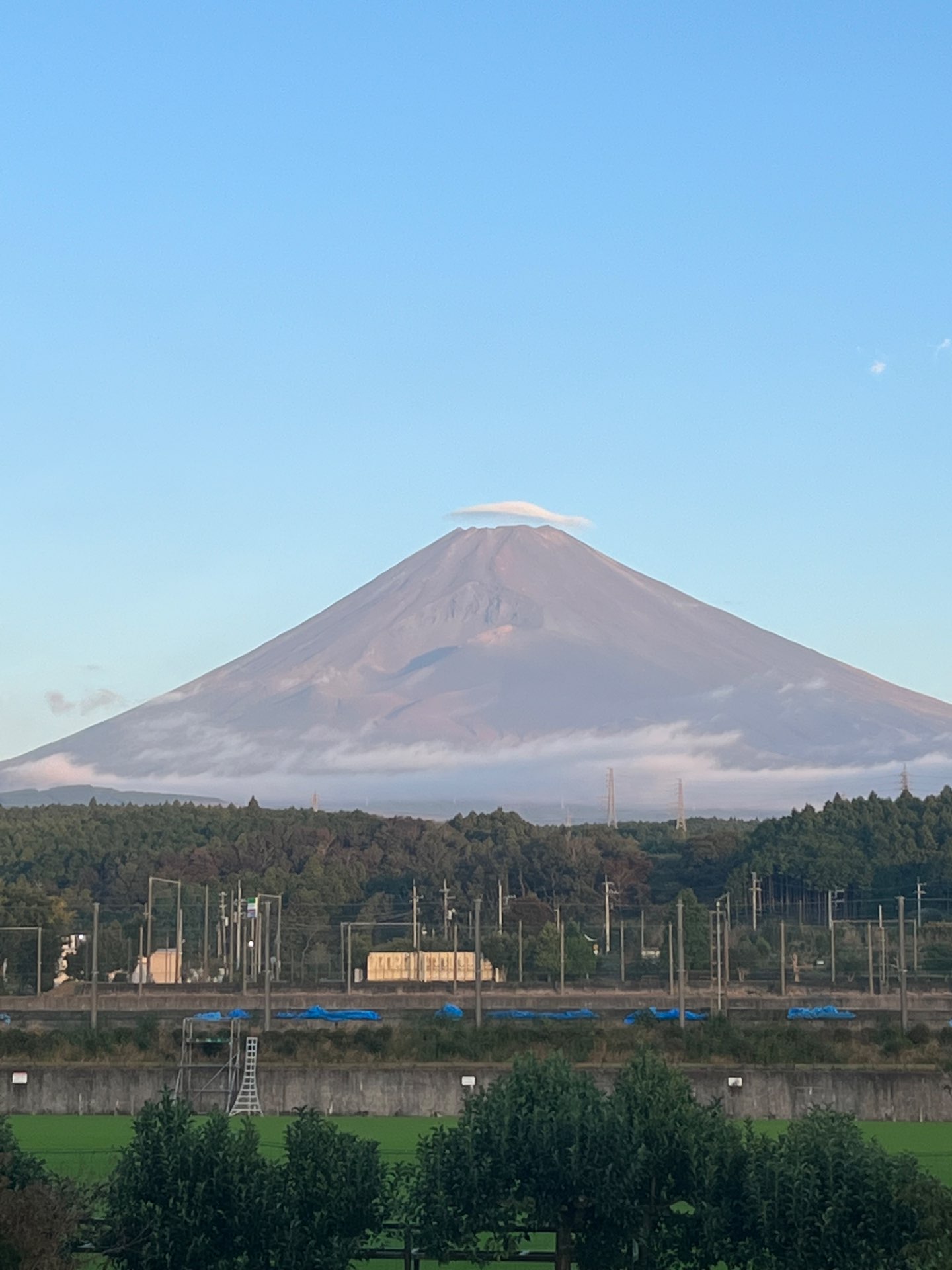 うたた寝さんのプロフィール画像