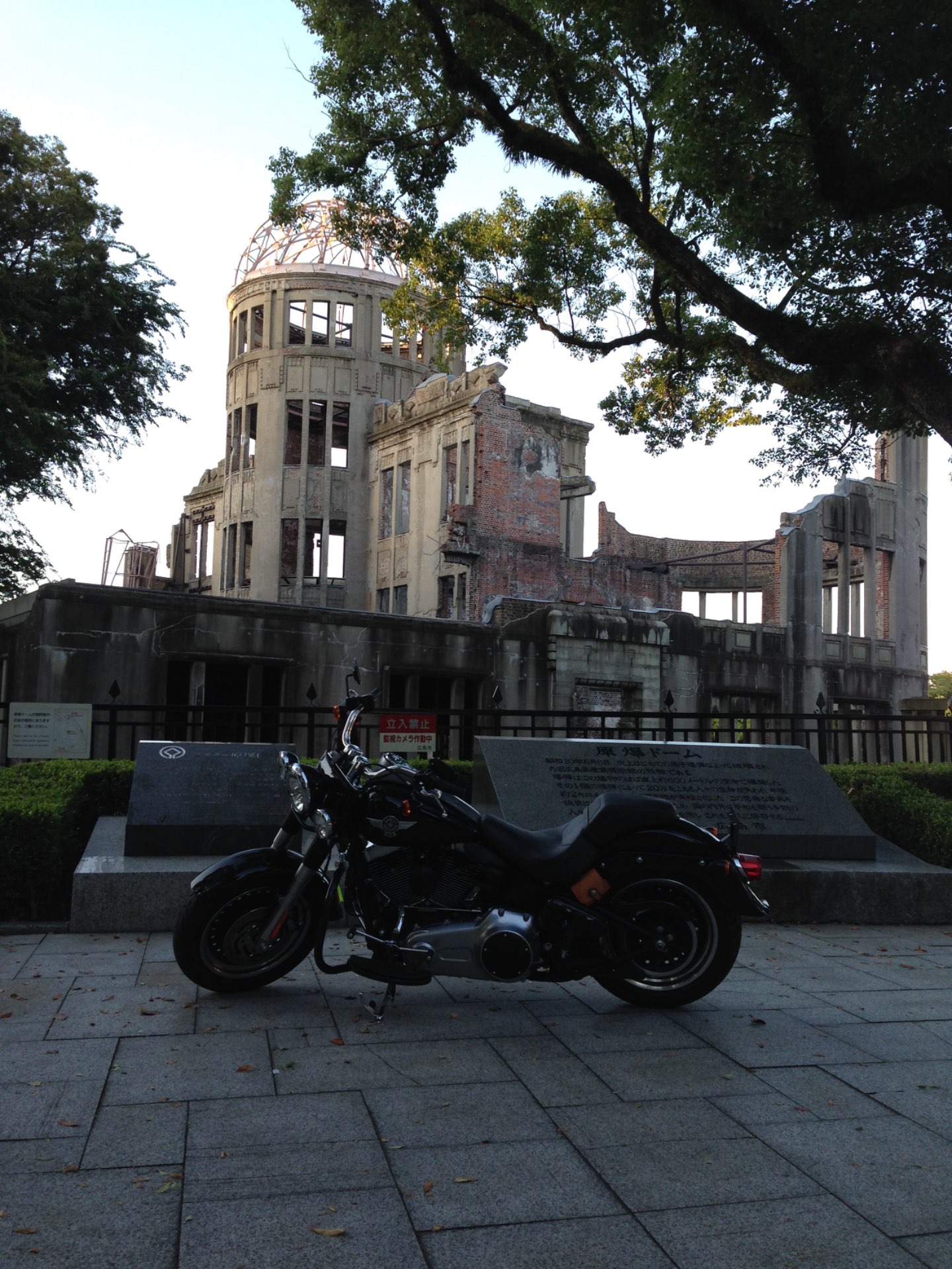 チョコクッキーさんのプロフィール画像