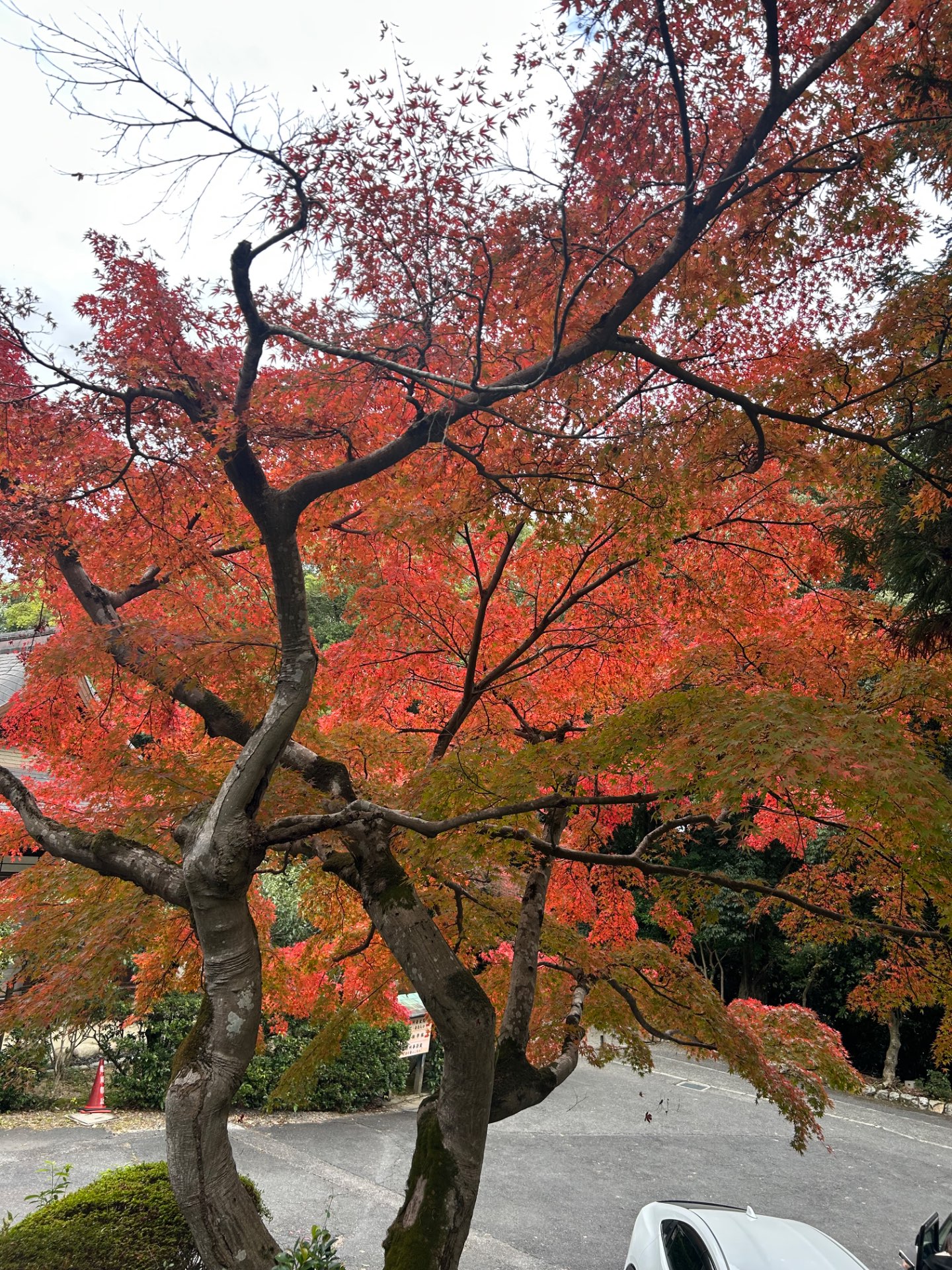 きょうかさんのプロフィール画像