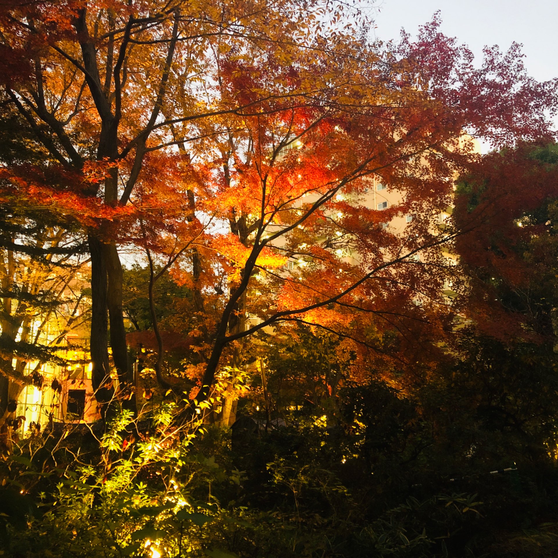 STARさんのプロフィール画像