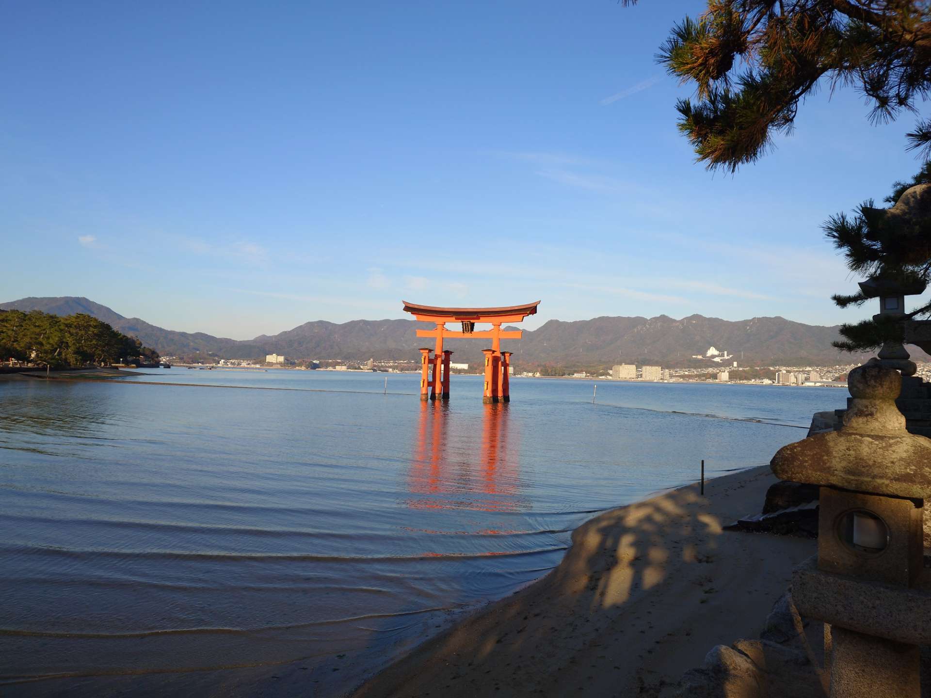 加賀龍驤さんのプロフィール画像