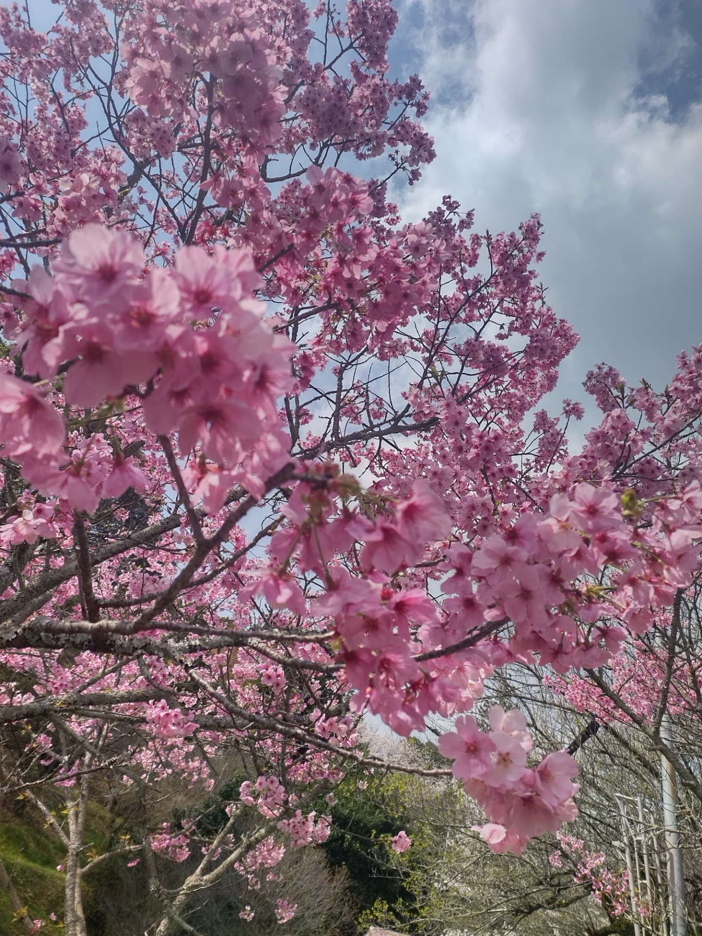 YUNさんのプロフィール画像