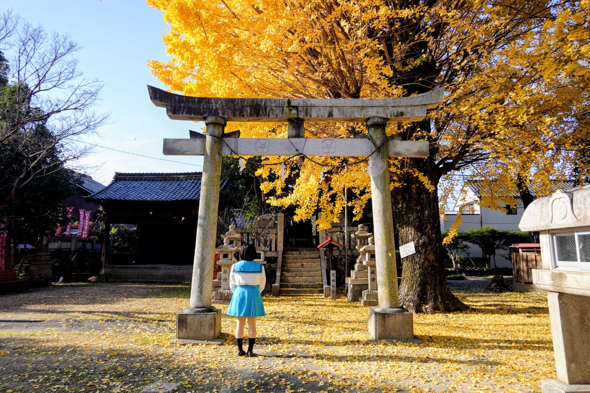 平沢凛さんのプロフィール画像