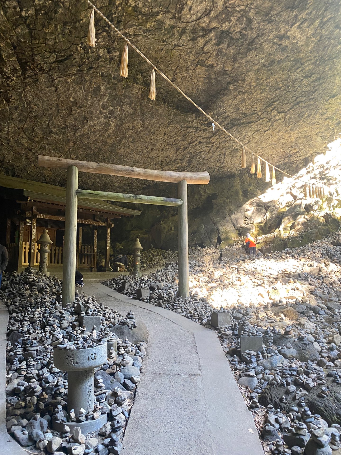 ダイエットブッチャーさんのプロフィール画像