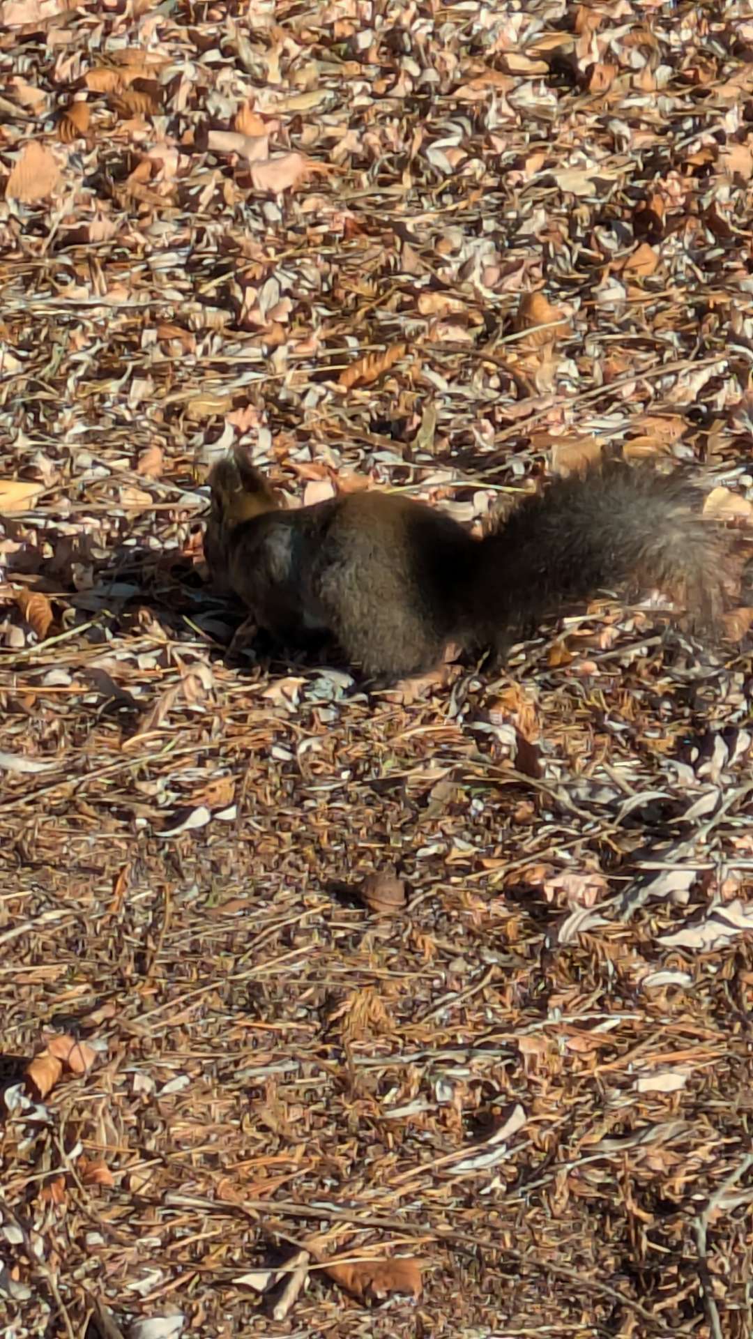 ハルキさんのプロフィール画像