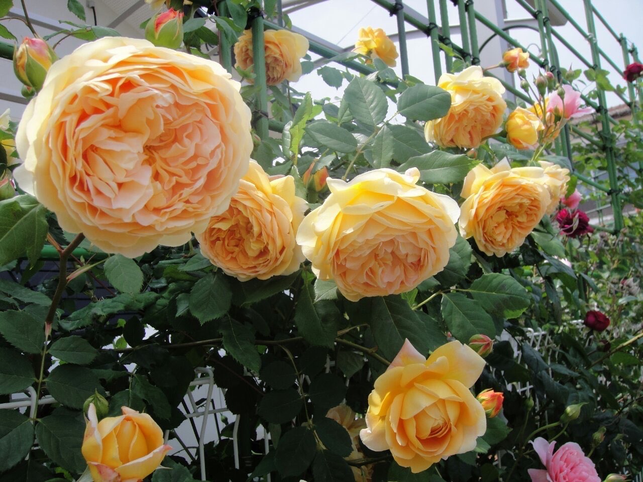 kwsriverさんのプロフィール画像