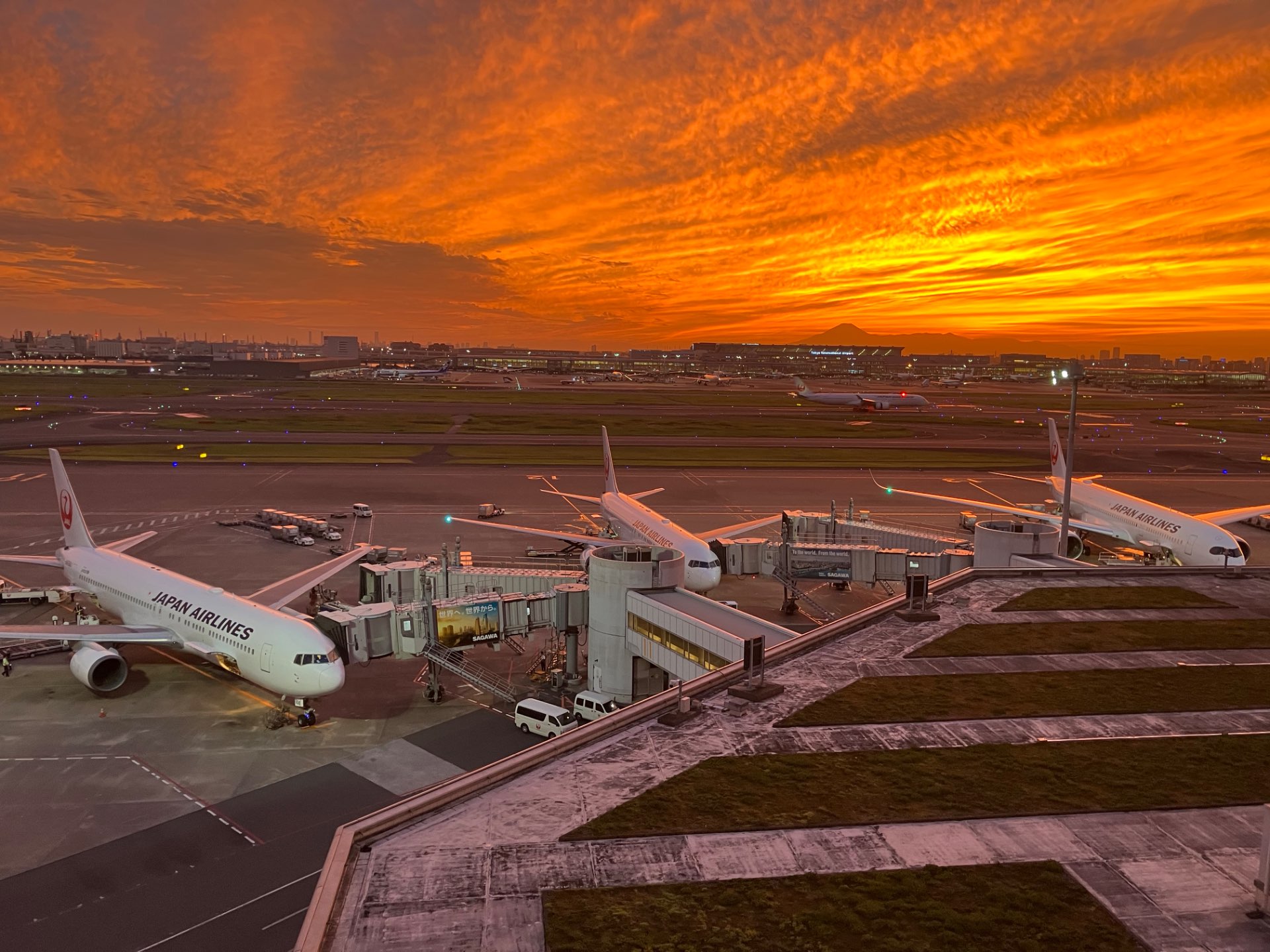 GAUDIさんのプロフィール画像