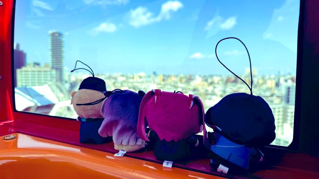 ﾎﾟﾙﾐﾁｮﾔさんのプロフィール画像