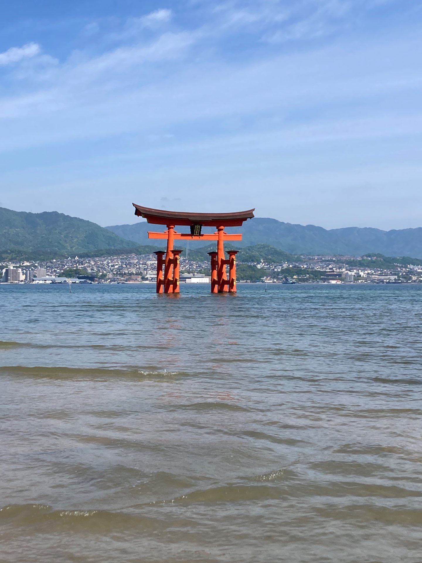 まるさんのプロフィール画像