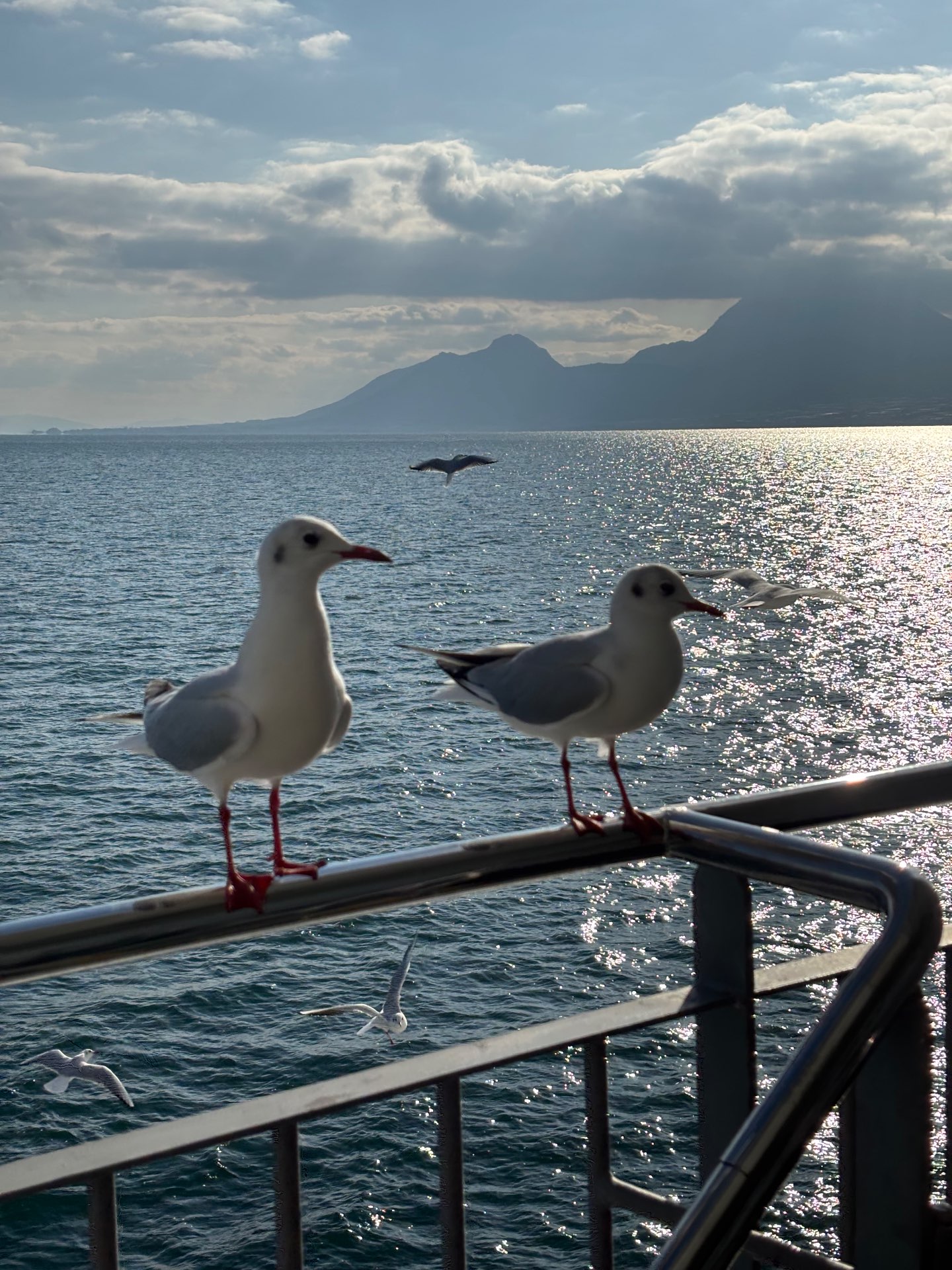 はなけさんのプロフィール画像