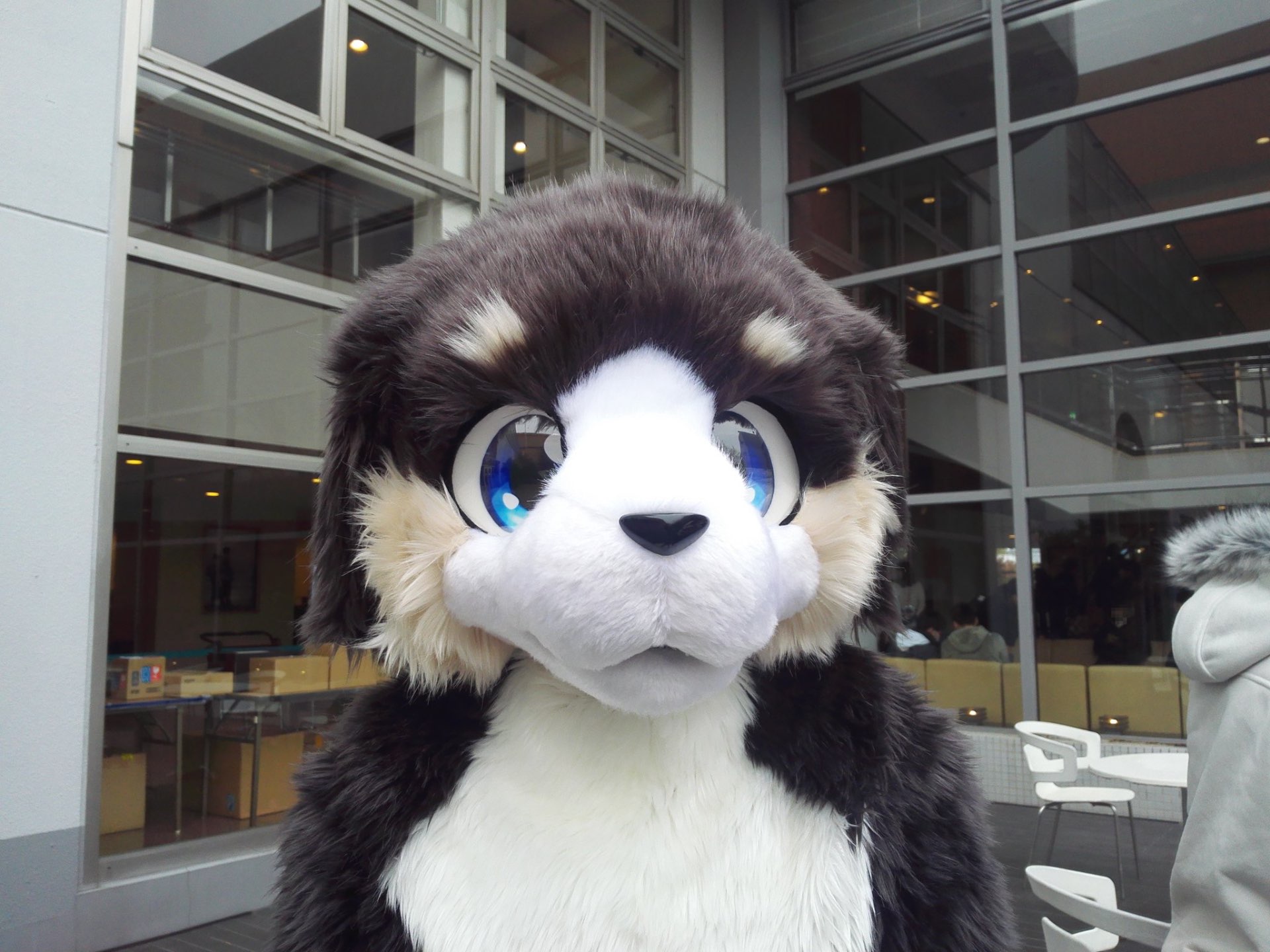 クルタさんのプロフィール画像